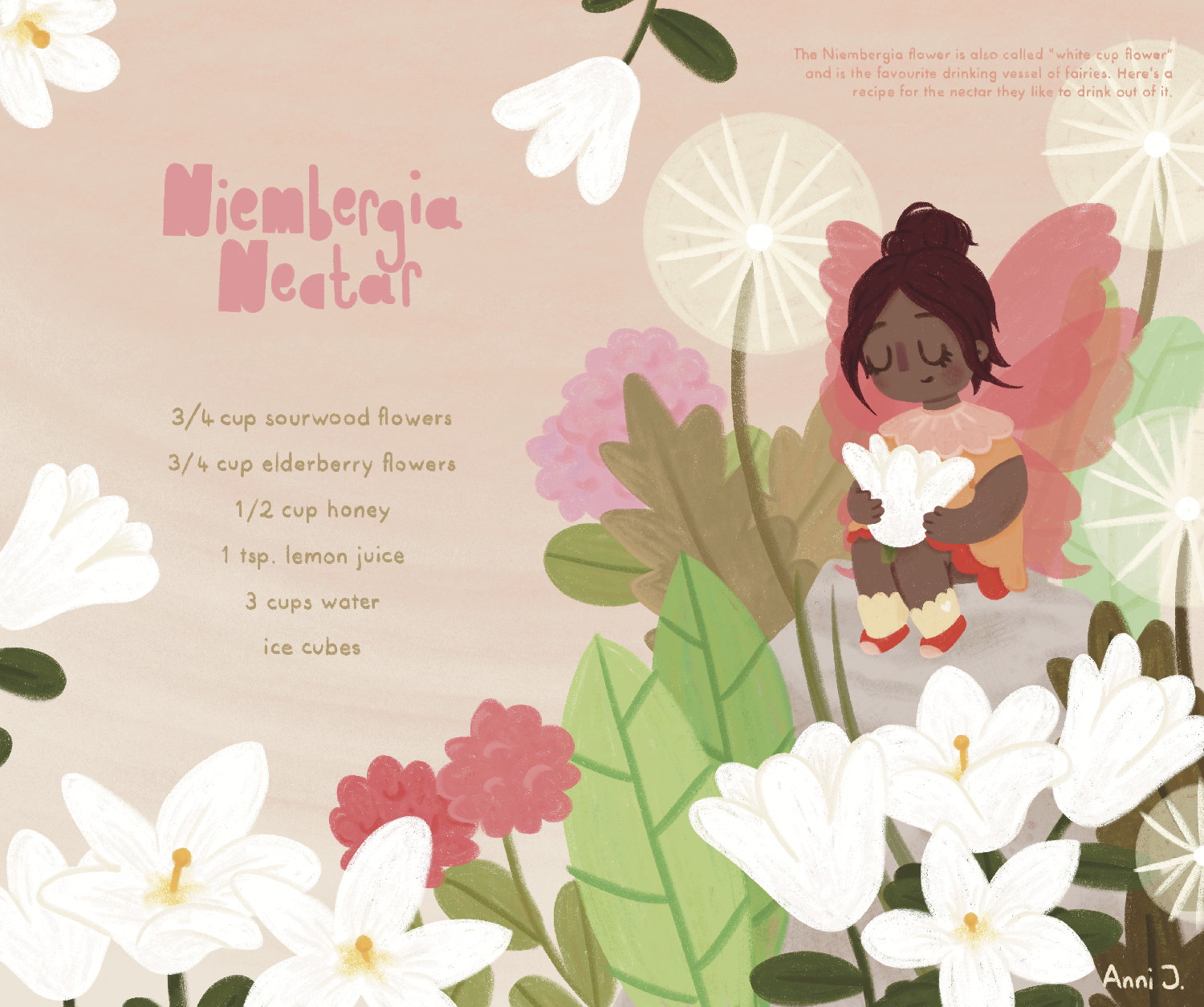 Fairy Drink A cute children's book illustration of a fairy sitting among an arrangement of plants and flowers. There are dandelions in the background and the foreground features a lot of Niembergia flowers or cup flowers. The fairy is dressed in a red and orange dress and has pink wings. She is holding one of the flowers like a cup. On the left hand side you can see a recipe for a drink called "Niembergia Nectar"